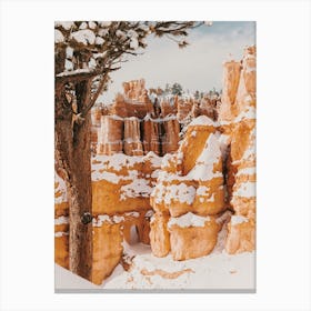 Bryce Canyon Snow Canvas Print