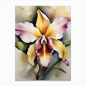 Brazil National Flower Orchid Canvas Print