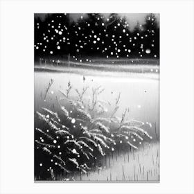 Snowflakes On A Field,Snowflakes Black & White 2 Canvas Print