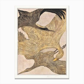 Three Flying Birds, Theo Van Hoytema Canvas Print