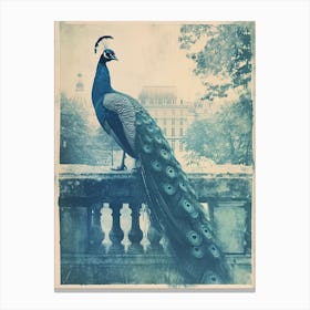 Vintage Turquoise Peacock With A Palace In The Background 1 Canvas Print
