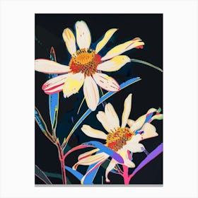 Neon Flowers On Black Oxeye Daisy 1 Canvas Print