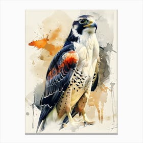 Falcon Canvas Print