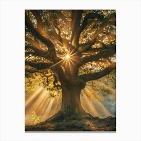 Tree Of Life 22 Canvas Print