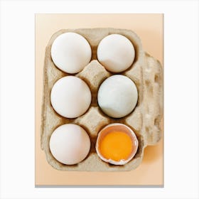 Eggs In A Carton 10 Canvas Print