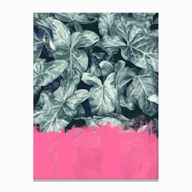 Pink Sorbet On Jungle Canvas Print