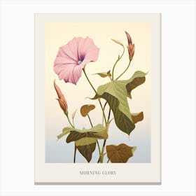 Floral Illustration Morning Glory 2 Poster Canvas Print
