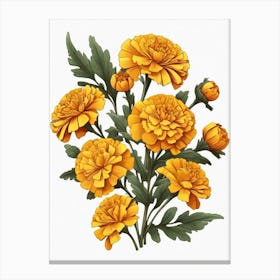 Carnations 1 Canvas Print