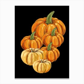 Pumpkins On Black Background Canvas Print