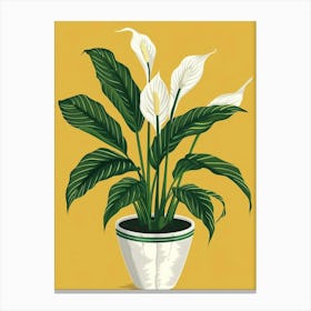 Peace Lily Canvas Print