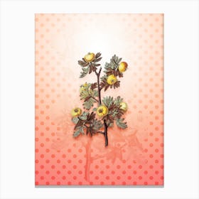 Tansy Leaved Hawthorn Flower Vintage Botanical in Peach Fuzz Polka Dot Pattern n.0172 Canvas Print