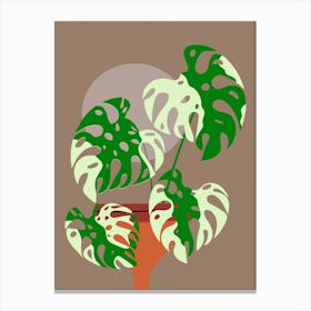 Monstera Plant Boho Floral Background Botanical Drawing Leaves Tropical Exotic Bohemian Nature Background Canvas Print