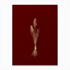 Vintage Autumn Squill Botanical in Gold on Red n.0056 Canvas Print