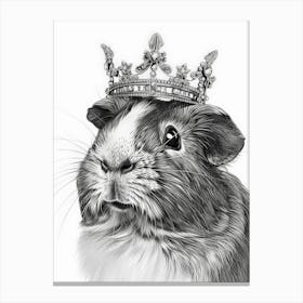 Guinea Pig 7 Canvas Print