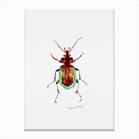 Calosoma scrutator, Caterpillar hunter beetle, watercolor artwork Canvas Print
