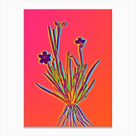 Neon Yellow Eyed Grass Botanical in Hot Pink and Electric Blue n.0249 Canvas Print