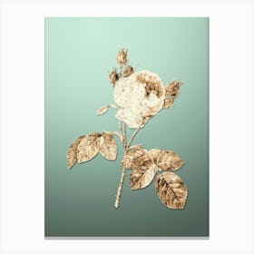 Gold Botanical Pink Cabbage Rose on Mint Green n.1565 Canvas Print