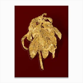 Vintage Spurge Laurel Weeds Botanical in Gold on Red n.0051 Canvas Print