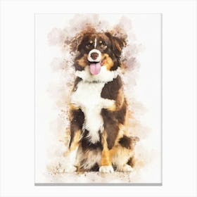 Border Collie Dog 1 Canvas Print