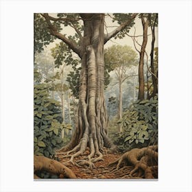 Vintage Jungle Botanical Illustration Rubber Tree 2 Canvas Print