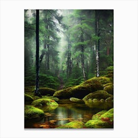 Mossy Forest 11 Canvas Print