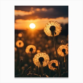 Sunset Dandelion Canvas Print