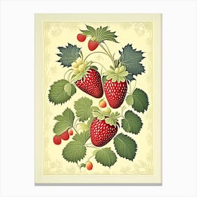 Day Neutral Strawberries, Plant, Vintage Botanical Canvas Print
