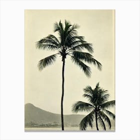 Anjuna Beach 3 Goa India Vintage Canvas Print