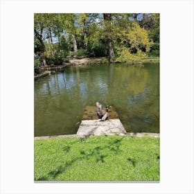 Ducks In A Pond Canvas Print