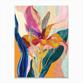 Colourful Flower Illustration Celosia 2 Canvas Print