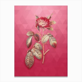 Vintage Red Gallic Rose Botanical in Gold on Viva Magenta Canvas Print