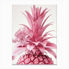 Pink Pineapple 11 Canvas Print