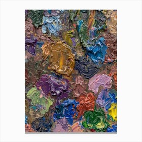 Close Up Of An Artist'S Palette Canvas Print