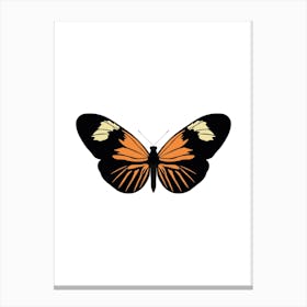 Heliconius Burneyi Butterfly Canvas Print