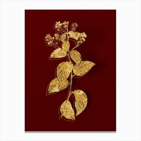 Vintage New Jersey Tea Botanical in Gold on Red n.0001 Canvas Print