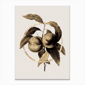 Gold Ring Peach Glitter Botanical Illustration n.0247 Canvas Print