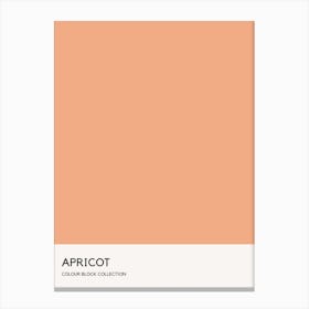 Apricot Colour Block Poster Canvas Print