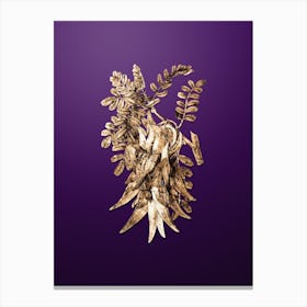 Gold Botanical Crimson Glory Pea Flower on Royal Purple Canvas Print