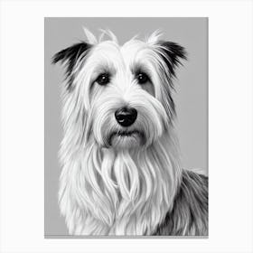 Skye Terrier B&W Pencil dog Canvas Print