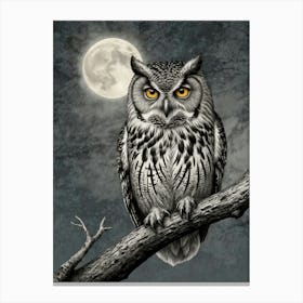 Owl At Night 5 Canvas Print