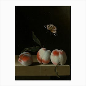 Peaches And Butterflies Canvas Print