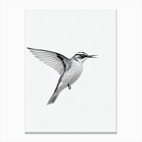 Lark B&W Pencil Drawing 1 Bird Canvas Print