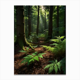 Ferns In The Forest 4 Canvas Print