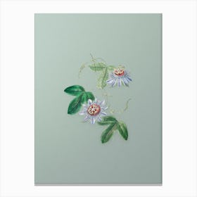 Vintage Sullivan's Passion Flower Botanical Art on Mint Green n.0772 Canvas Print