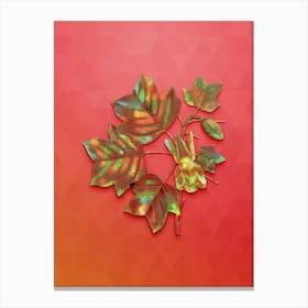 Vintage Tulip Tree Botanical Art on Fiery Red n.0444 Canvas Print