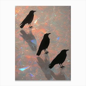 Crows Canvas Print