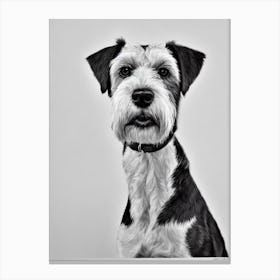 Irish Terrier B&W Pencil dog Canvas Print