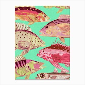 Colorful Fishes Canvas Print