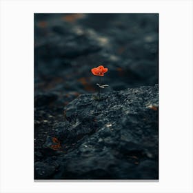 Single Flower On A Rock 8 Canvas Print