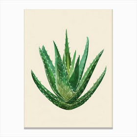Aloe Vera Plant Minimalist Illustration 6 Canvas Print